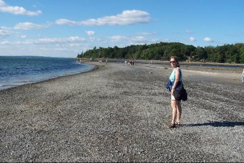 A woman stands on a rocky beach, with a calm sea and trees in the background under a clear blue sky.