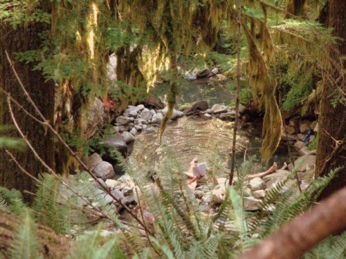 A serene forest scene with a small stream surrounded by rocks and lush greenery, featuring a person reading by the water.