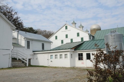 A white barn with green accents and a silo, surrounded by a gravel area and trees under a cloudy sky.