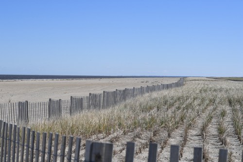 A sandy beach with a wooden fence, grass patches, and a clear blue sky meeting the horizon over the water.