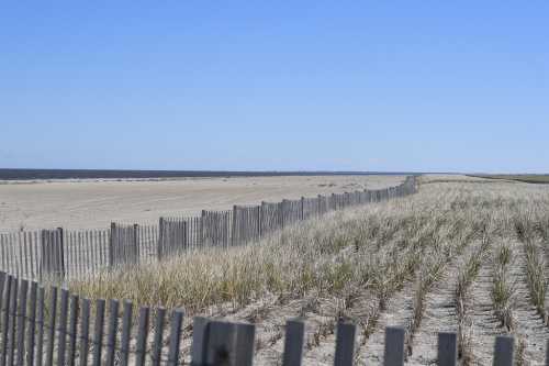 A sandy beach with a wooden fence, grass patches, and a clear blue sky meeting the horizon over the water.