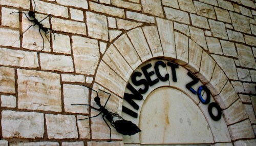 Sign for "Insect Zoo" on a stone wall, featuring large insect silhouettes above the entrance.