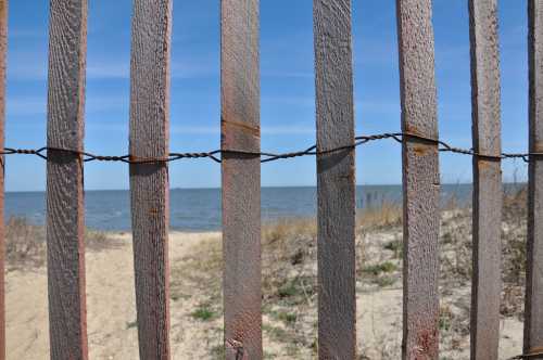 View of the ocean through a weathered wooden fence, with sandy beach and grass in the foreground under a clear blue sky.