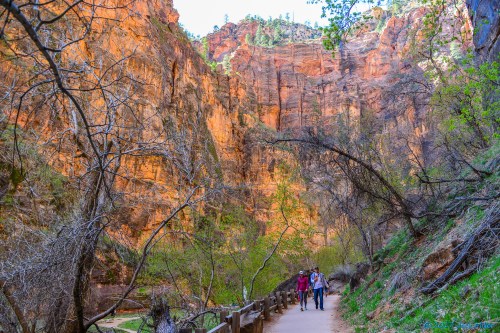 Two hikers walk along a path in a canyon, surrounded by towering red rock cliffs and lush greenery.