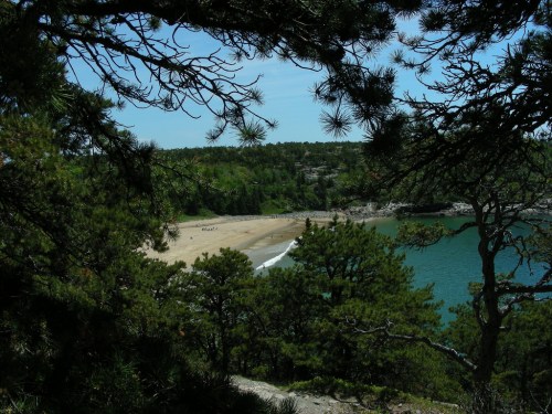 A serene beach framed by trees, with gentle waves lapping at the shore under a clear blue sky.