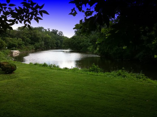 A serene pond surrounded by lush greenery and trees under a clear blue sky.