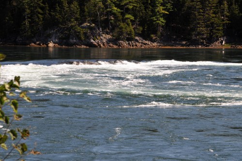 A serene river scene with swirling water and lush green trees along the shore.