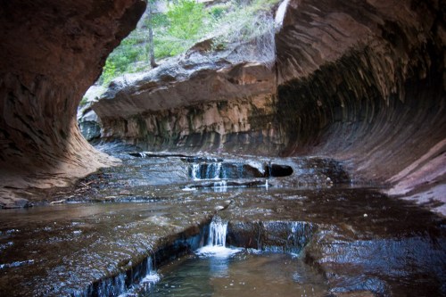 A serene canyon with smooth, curved rock walls and a gentle stream flowing through the center.