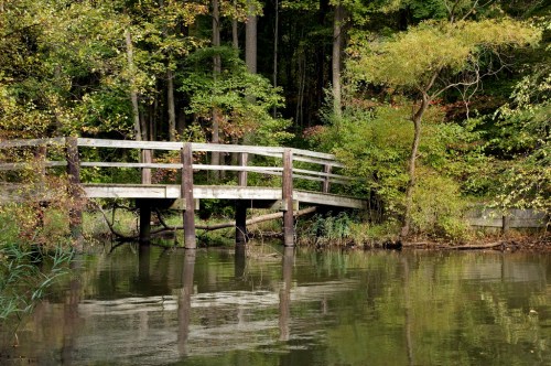 A wooden bridge over calm water, surrounded by lush green trees and autumn foliage.