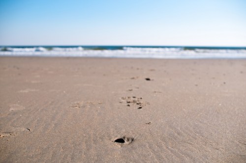 Footprints in the sand lead towards a calm beach and gentle waves under a clear blue sky.