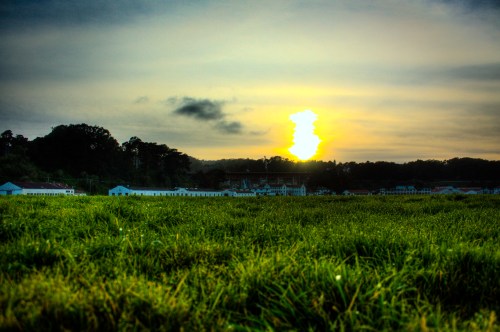 A vibrant sunset over a grassy field, with silhouettes of trees and buildings in the background.