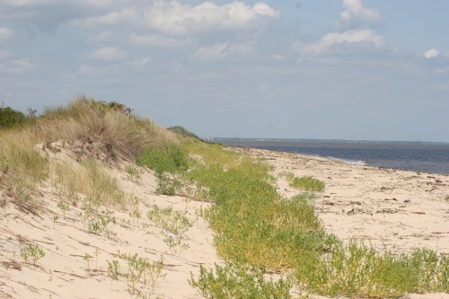 A sandy beach with sparse vegetation and gentle waves under a partly cloudy sky.