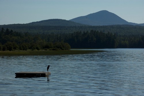 A serene lake scene with a wooden dock, a bird perched on it, and a mountain in the background under a clear sky.