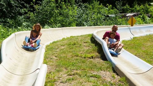 Two adults and two children enjoy a summer day sliding down a grassy, winding slide surrounded by greenery.