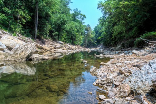 A serene riverbank scene with clear water, rocky shores, and lush green trees lining the banks under a blue sky.