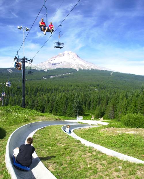A scenic view of a ski lift and a summer slide, with a mountain and forest in the background.