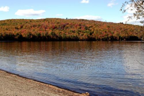 A serene lake surrounded by autumn-colored trees under a clear blue sky.