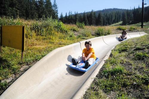 Two children slide down a grassy slope on sleds, surrounded by trees and a clear blue sky.