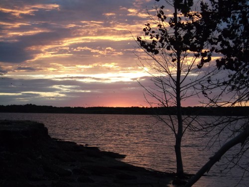 A serene sunset over a lake, with vibrant colors in the sky and a silhouette of a tree in the foreground.