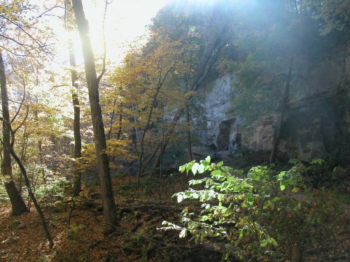 Sunlight filters through trees in a forest, illuminating a rocky cliff and colorful autumn foliage.