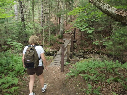 A person walks along a forest trail towards a wooden bridge over a small stream, surrounded by lush greenery.