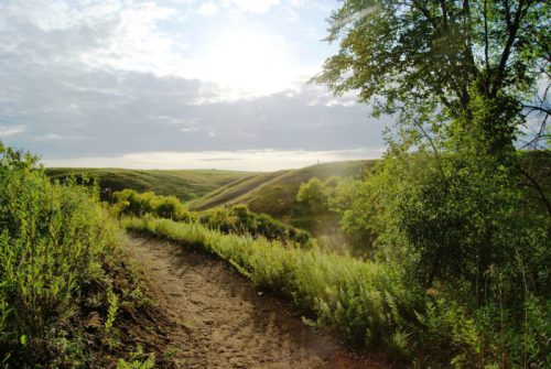 A winding dirt path through lush greenery, leading to rolling hills under a cloudy sky with sunlight peeking through.