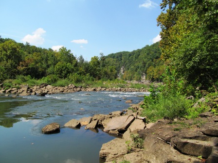 A serene river scene with rocky banks, lush green trees, and a clear blue sky in the background.