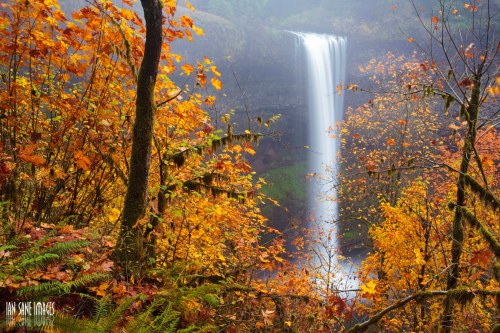 A serene waterfall cascades through vibrant autumn foliage, surrounded by trees in shades of orange and yellow.