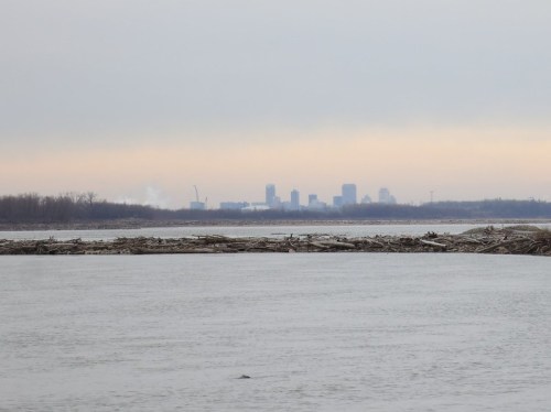 A river scene with driftwood in the foreground and a city skyline visible in the distance under a cloudy sky.