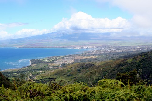 alt