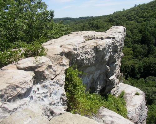 A rocky cliff edge surrounded by lush green trees under a clear blue sky.