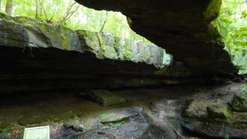 A rocky cave with a large overhang, surrounded by lush green trees and a small stream below.