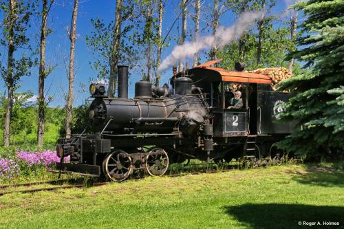 A vintage steam locomotive chugs along a green landscape, surrounded by trees and blooming flowers.