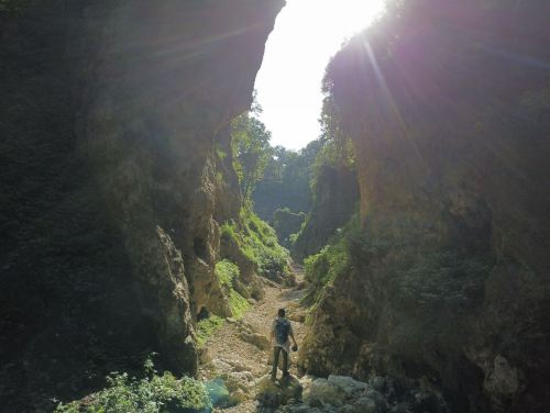 A hiker stands in a rocky canyon, with sunlight streaming through the opening above, surrounded by lush greenery.