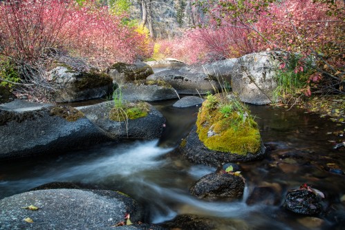 A serene stream flows over smooth rocks, surrounded by vibrant pink foliage and lush greenery in a tranquil landscape.