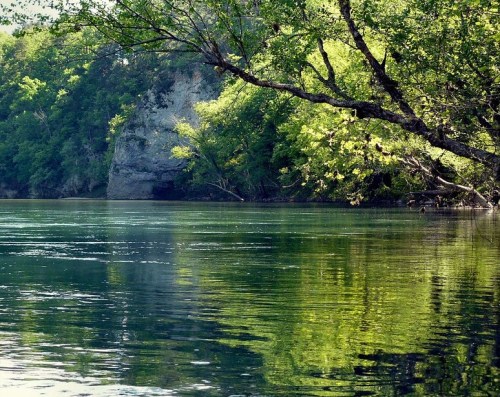A serene river scene with lush green trees reflecting on calm water, surrounded by rocky cliffs.