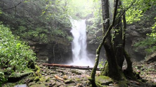 A serene waterfall cascades down rocky cliffs, surrounded by lush greenery and mist in a tranquil forest setting.