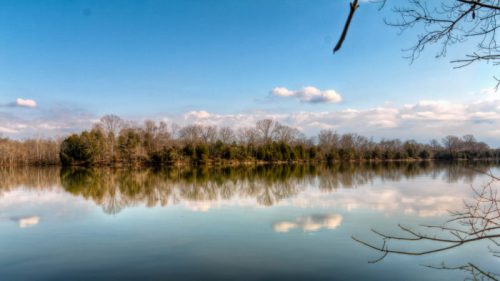 A serene lake reflects trees and clouds under a clear blue sky, creating a peaceful natural landscape.