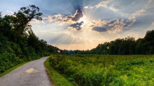 A scenic pathway through lush greenery under a dramatic sky with rays of sunlight breaking through the clouds.