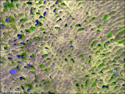 Aerial view of a textured landscape with patches of water and vegetation, featuring various shades of green and blue.
