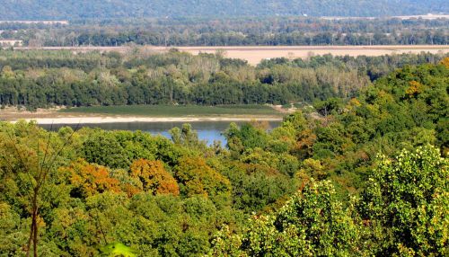A scenic view of a river surrounded by lush green trees and autumn foliage in the foreground.