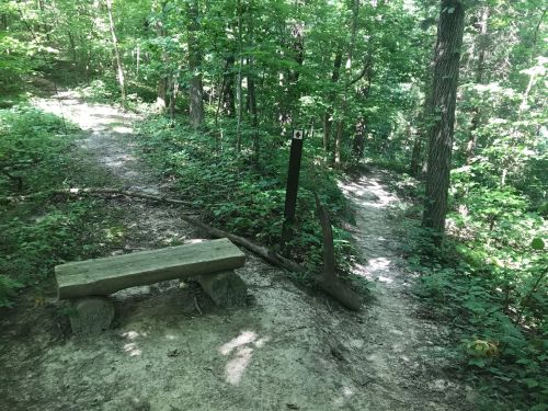 A wooden bench beside a dirt path in a lush green forest, with a signpost indicating trail directions.