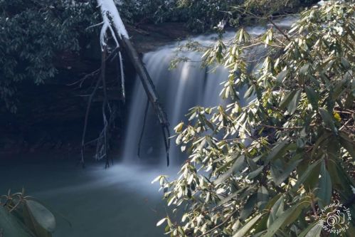 A serene waterfall cascades over rocks, surrounded by lush greenery and tree branches.