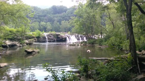 A serene waterfall cascades into a calm pool, surrounded by lush greenery and trees in a tranquil natural setting.