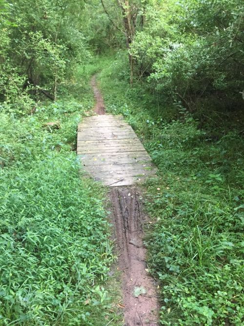 A narrow dirt path through lush greenery, featuring a small wooden bridge over a muddy section.