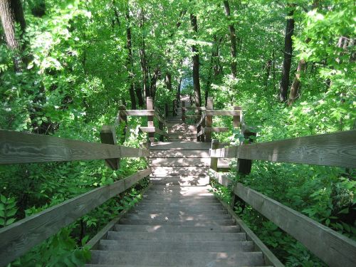 A wooden staircase descends through lush green trees, leading to a serene area below.
