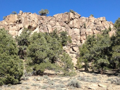 Rocky cliffside with scattered trees and a clear blue sky above.