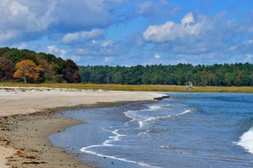 A serene beach scene with gentle waves, sandy shore, and lush green trees under a partly cloudy sky.
