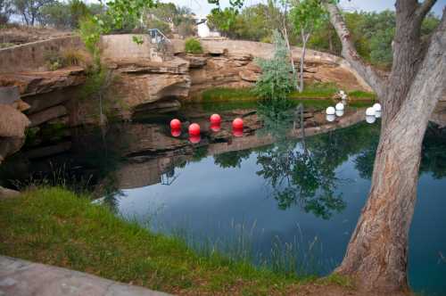 A serene pond surrounded by rocks and trees, featuring red and white buoys floating on the water's surface.