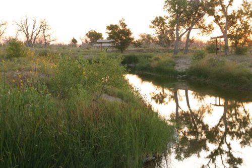 A serene landscape featuring a calm stream reflecting trees and a sunset, surrounded by lush greenery and wildflowers.